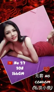 No.27 - VietnamRM 160 / 1 Shot / 45 Minutes